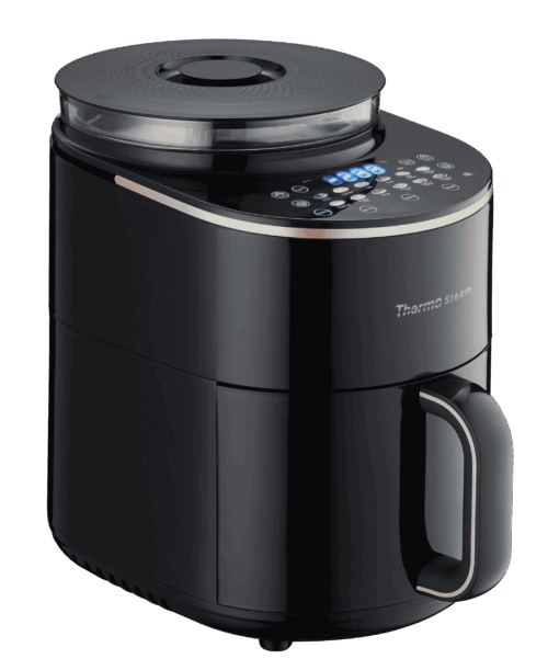 ThermoSteam-1