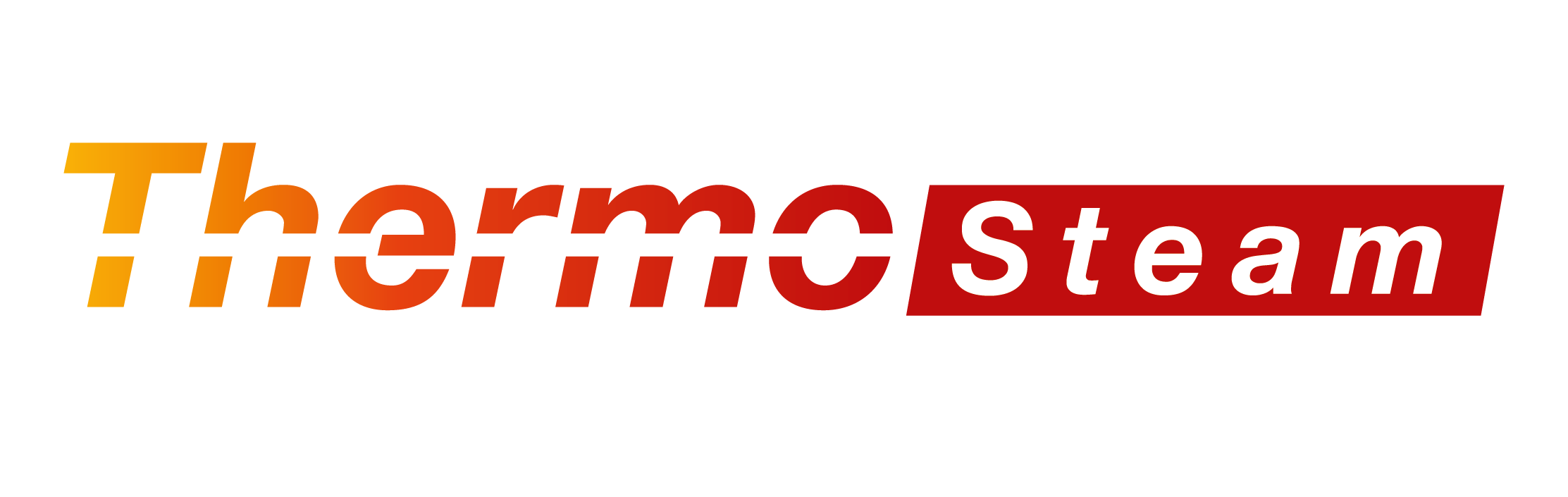 logo_thermosteam_final_claimweiss_3108-01