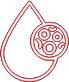 icon3